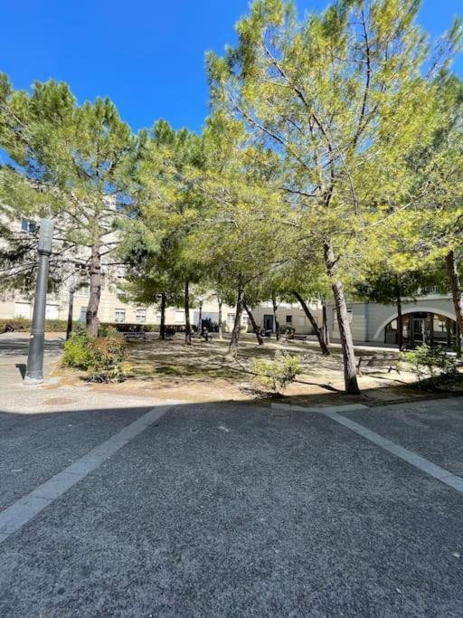 Petit Nid Douillet - Studio - Rives Du Lez - Wifi Leilighet Montpellier Eksteriør bilde